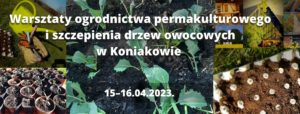 Warsztaty Ogrodnictwa permakulturowego oraz szczepienia drzew w Koniakowie